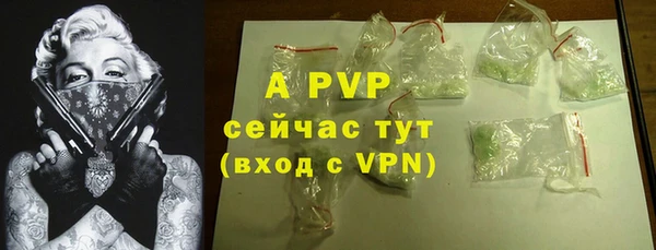 2c-b Новозыбков
