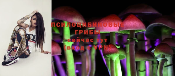 2c-b Новозыбков