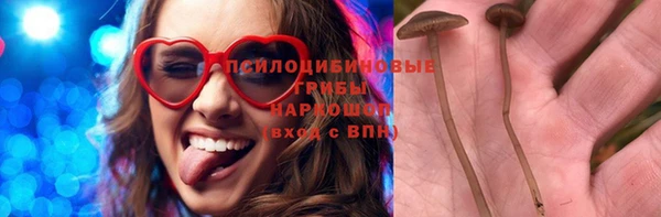 2c-b Новозыбков