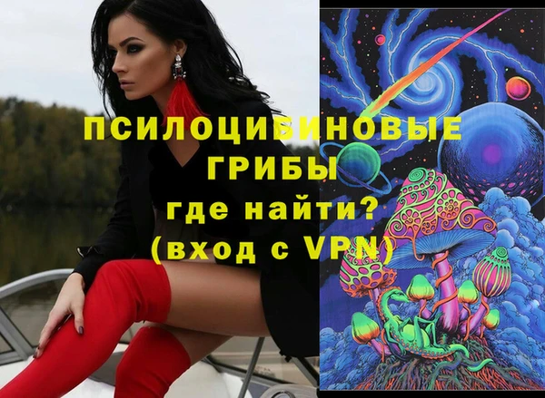 2c-b Новозыбков