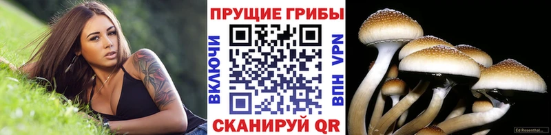 Псилоцибиновые грибы Psilocybe ОМГ ОМГ ONION Лермонтов