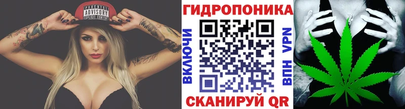 Марихуана White Widow Лермонтов